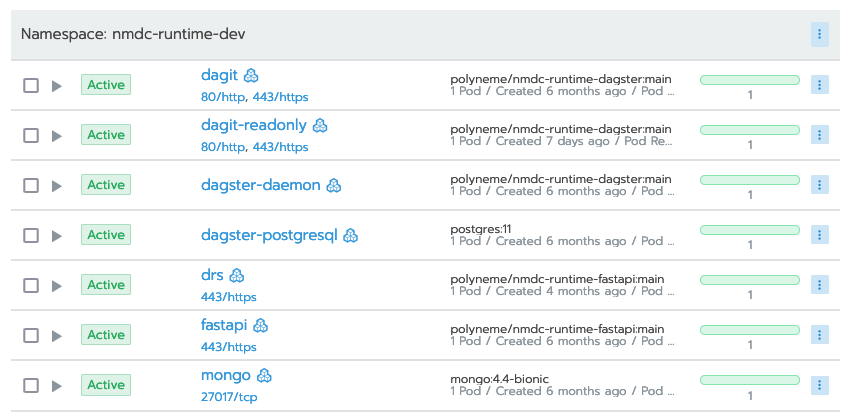 rancher-nmdc-runtime-dev-workloads